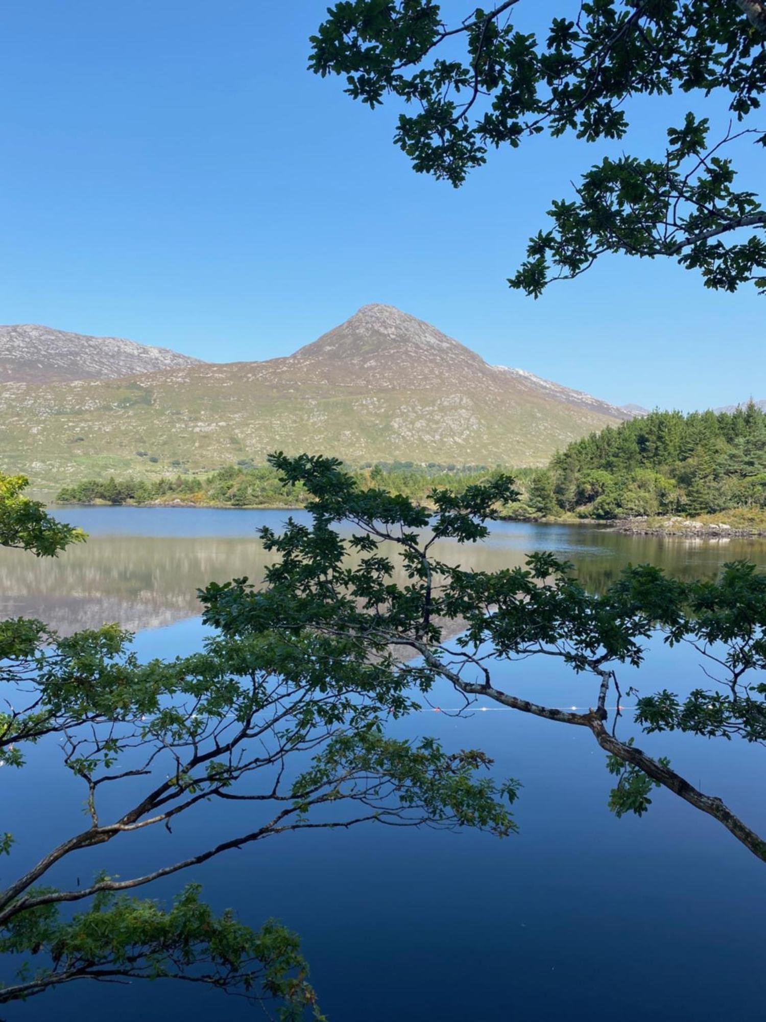Ballynahinch Castle Hotel Eksteriør billede