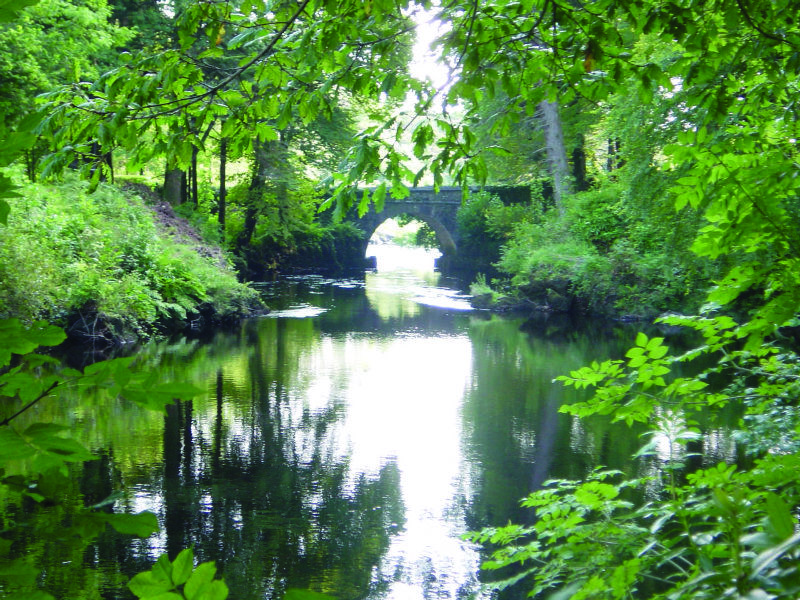 Ballynahinch Castle Hotel Eksteriør billede